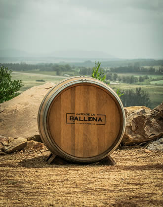 Ruta del Vino